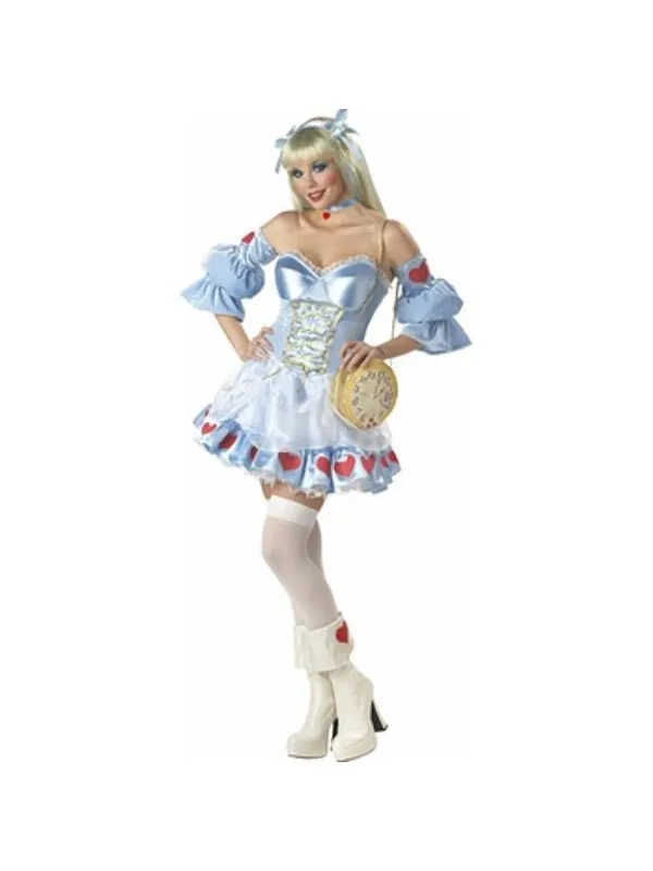 Adult Alice in Wonderland Costume