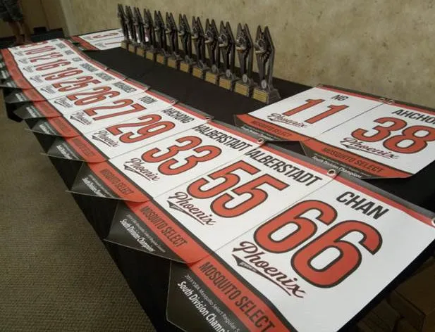 Player & Team Award Banner