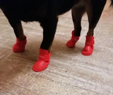 Rain Boots