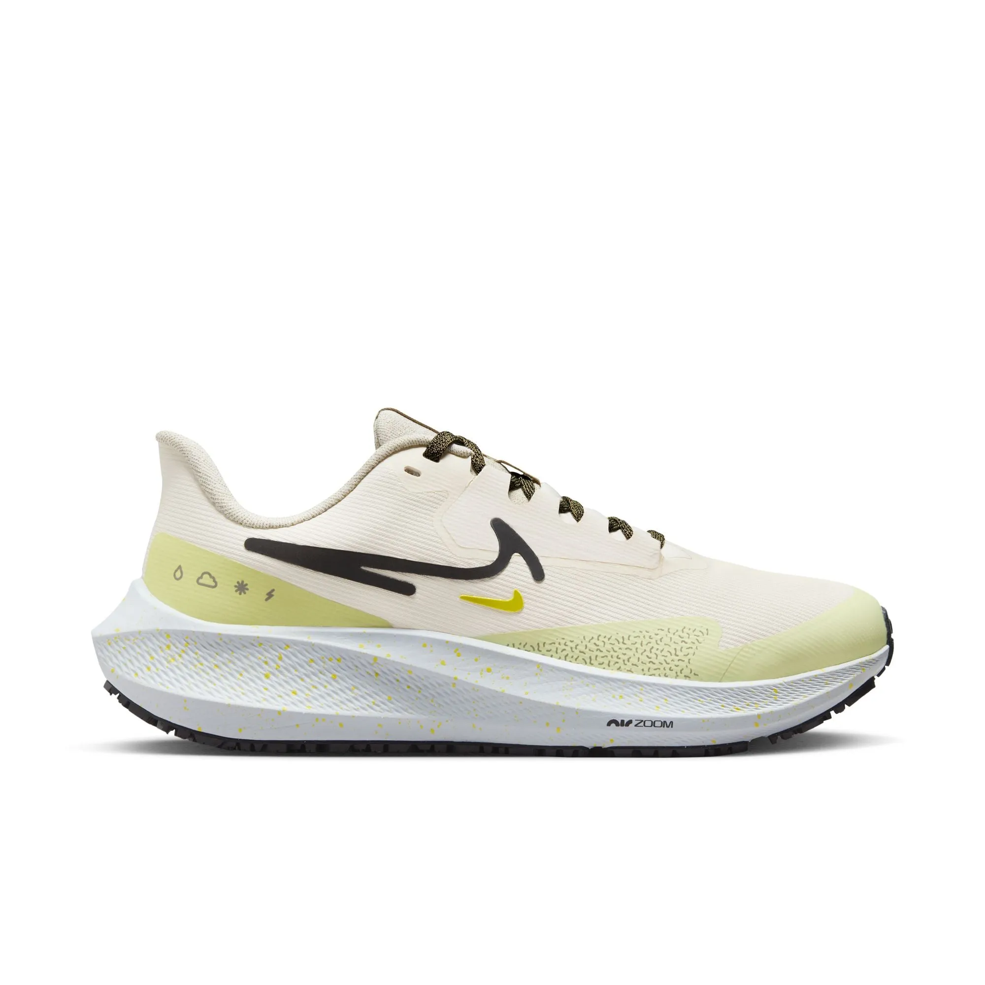 Women's Nike Pegasus 39 Shield - DO7626-100